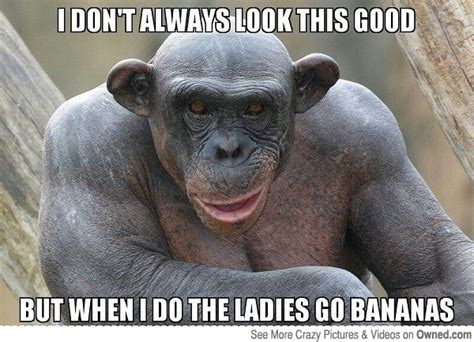 monkey memes